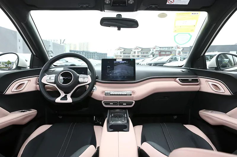 Byd Seagull pink color interior